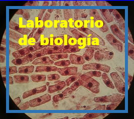 Laboratorio de Biología Molecular