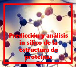 Predicción y análisis in silico de la estructura de proteínas