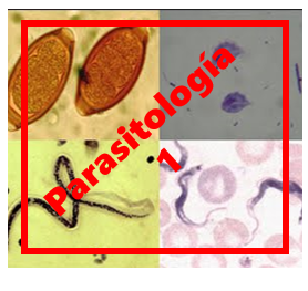 Parasitología 1