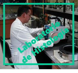 Laboratorio de Histología