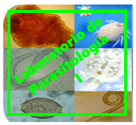 Laboratorio de Parasitología 1