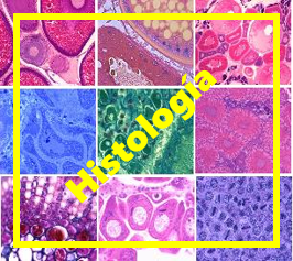 Histología